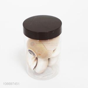 Fashion Natural <em>Shell</em> Decorative Conch <em>Crafts</em>