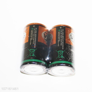 High Quality Multipurpose 2 Pieces 1.5V D Battery Set