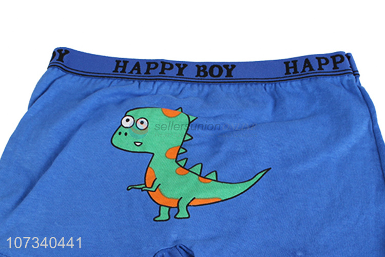 Custom Cartoon Dinosaur Pattern Boxer Shorts For Boys