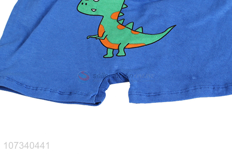 Custom Cartoon Dinosaur Pattern Boxer Shorts For Boys