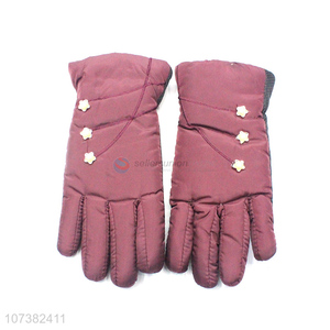 Wholesale Price Winter Women Gloves Outdoor Warm Full Finger Gloves