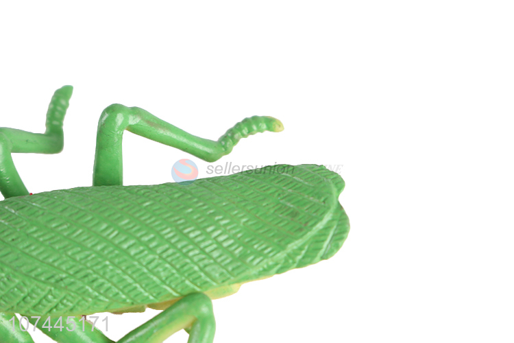 New arrival simulation animal model soft squishy locust toy