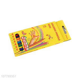 High quality colored pencil painting pencil coloring pencil