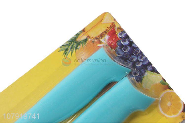 Wholesale Household Fruit Knife 2 Pieces Kitchen Cutter Set