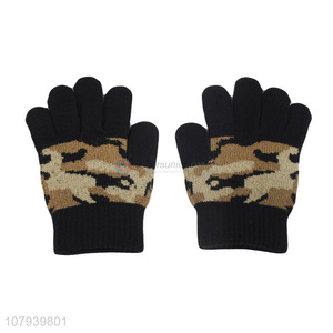 Newest Fashion Knitted Gloves Best Winter Warm Gloves For Women