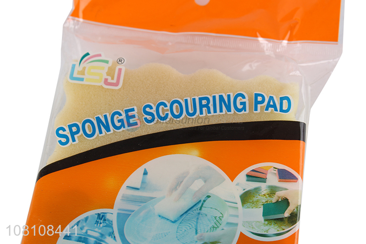 Hot selling high-density sponge kitchen cleaning kit