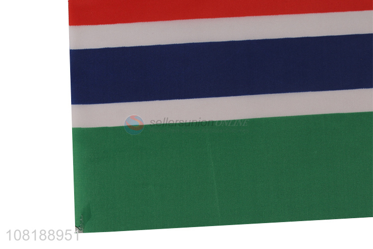 Wholesale handheld mini Gambia country flag party decoration supplies