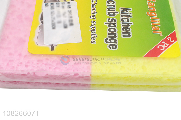 Fashion Design 2 Pieces Scouring Pad Kitchen Scrub Sponge