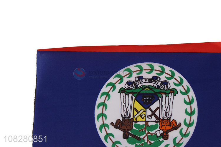 Wholesale polyester national flag custom flag for competition parade