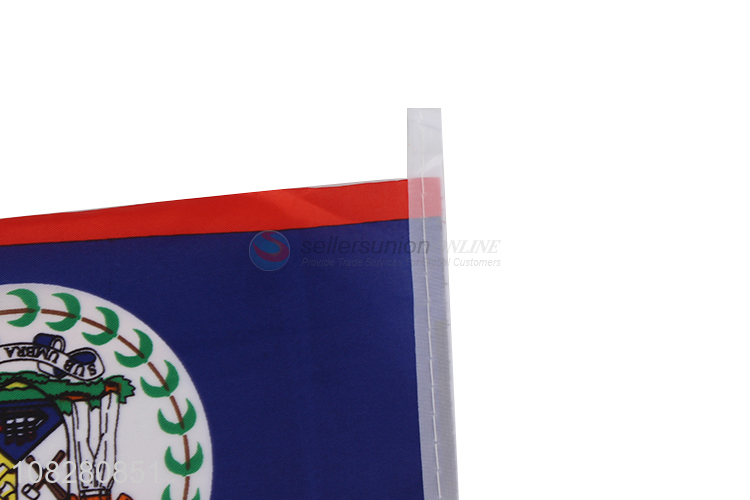 Wholesale polyester national flag custom flag for competition parade