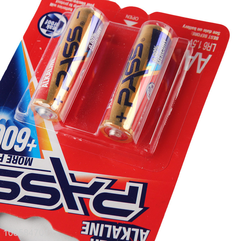 Factory supply 2 pieces 1.5V AA alkaline zinc-manganese batteries