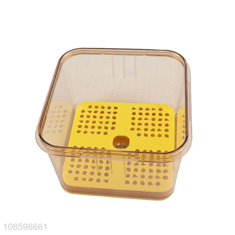 Hot selling household refrigerator food storage box with lids