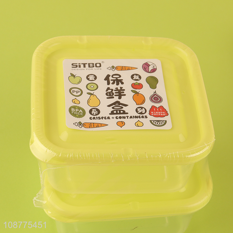 Custom logo 2 pieces refrigerator food storage containers