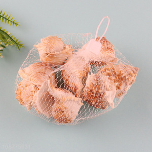 New product small natural sea shells for DIY crafts