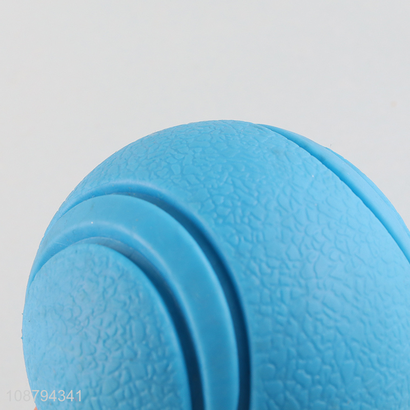 Most popular blue pet bouncy ball