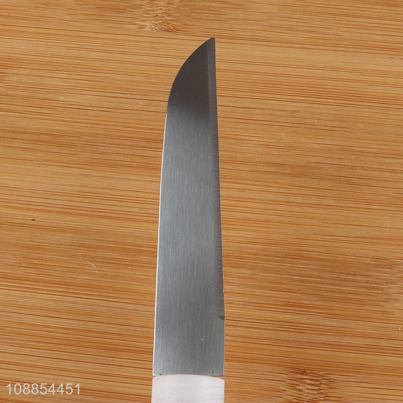 Factory price stainless steel kitchen knife fruits knife for sale