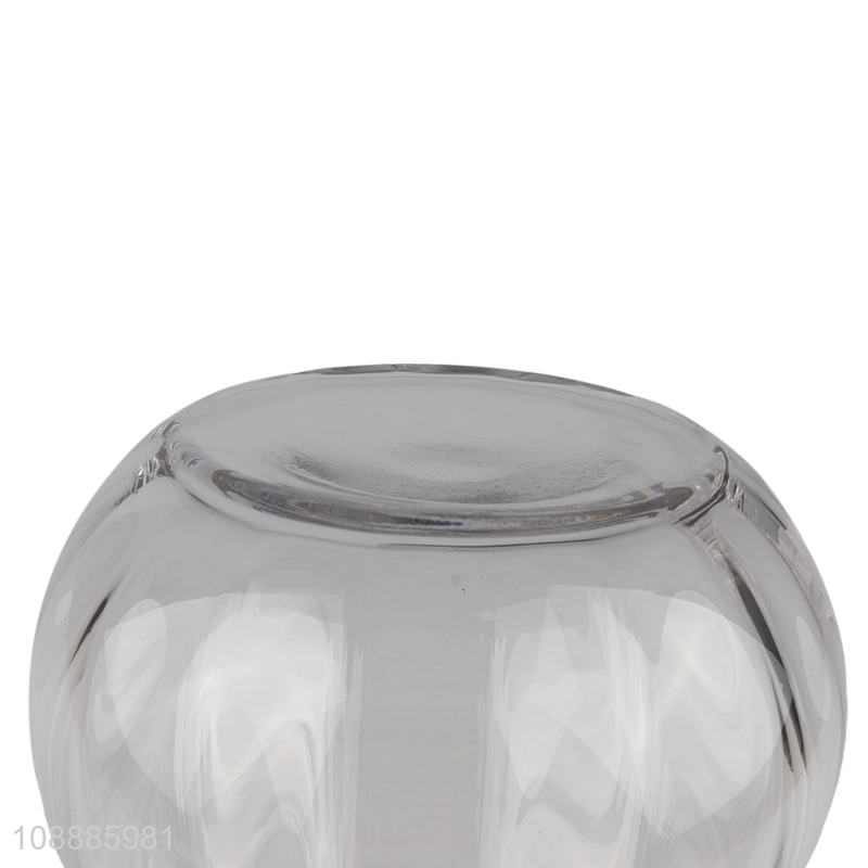 Hot selling glass bud vase hydrophobic vase for home decor