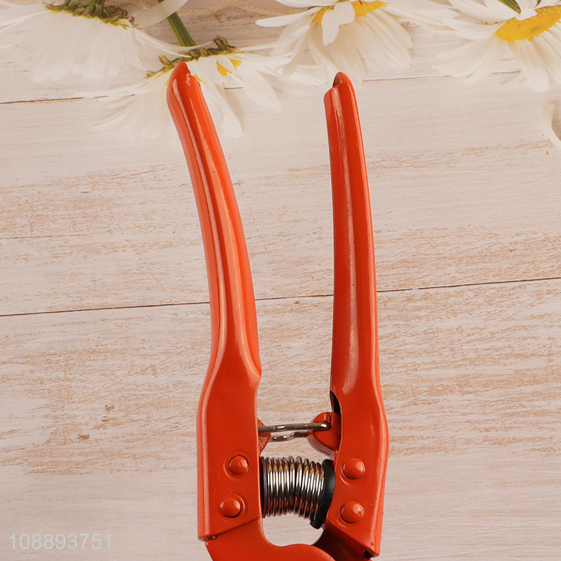 Factory supply pruning shears for garden trimming tools