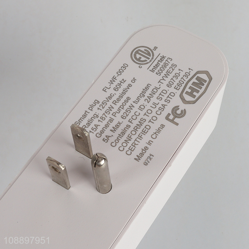 China factory WiFi smart plug with 2 grounded outlets