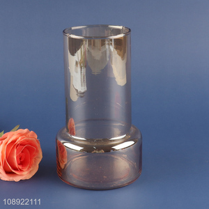 New product living room decoration glass <em>flower</em> <em>vase</em> hydroponic <em>vase</em>