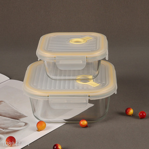 Top selling square glass leakproof food storage container box