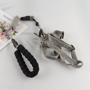 China Imports Durable <em>Dog</em> <em>Harness</em> And Leash Set for Large Dogs