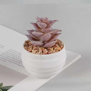 Good selling natural artificial potted succulent plants for home office decor