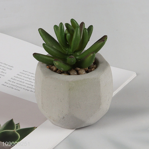 Top quality tabletop decor natural artificial potted succulent plants for sale