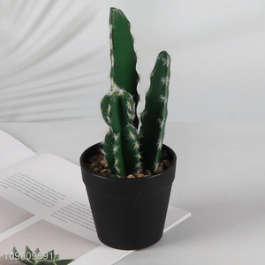 Best selling indoor decor natural artificial potted cactus fake bonsai