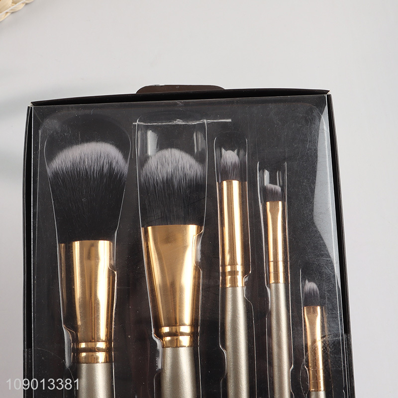 Top selling 5pcs professional cosmetic makeup brush set for makeup tool