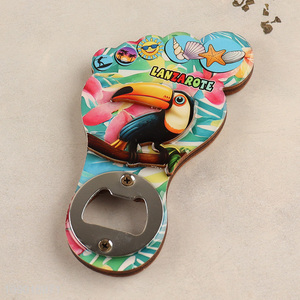 Factory Price Magnetic Bottle Opener <em>Fridge</em> <em>Magnet</em> Bottle Opener Lanzarote Souvenir