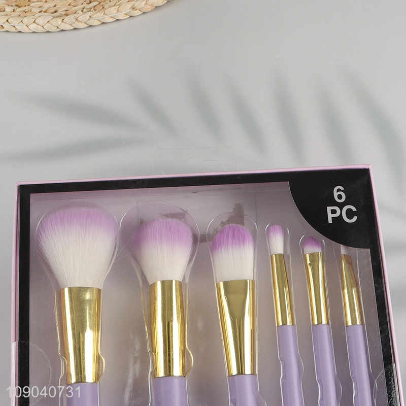 New Product 6 Pieces Professional Soft and Odor-free Makeup Brush Set