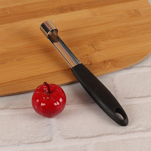 High Quality Stainless Steel Apple Corer Remover Fruit Corer Tool