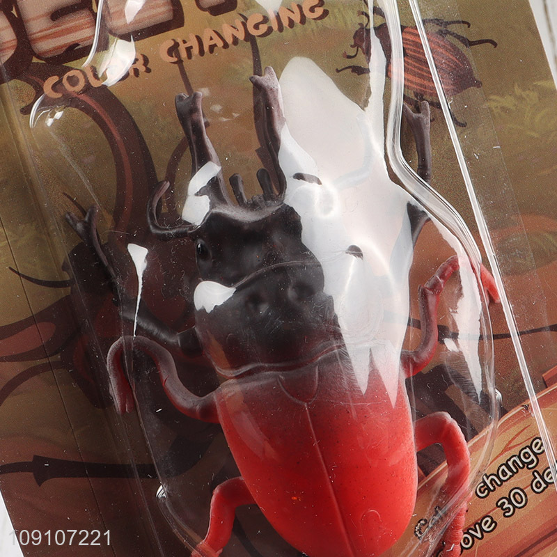 China factory beetle model toy color changing toy for children