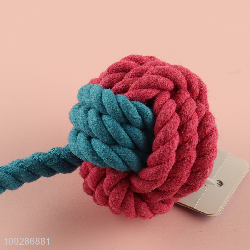 Popular products bite-resistant pet chew toys teething toys