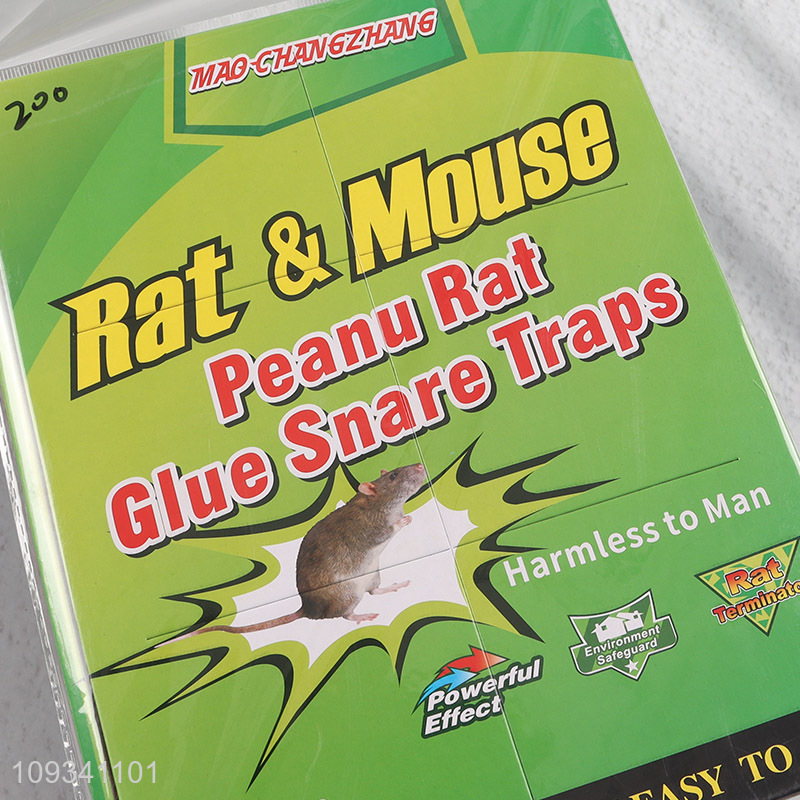 Online wholesale mouse glue trap for home