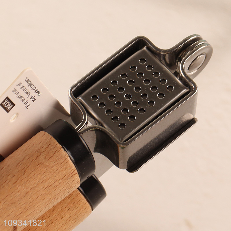 China products kitchen gadget garlic press for sale