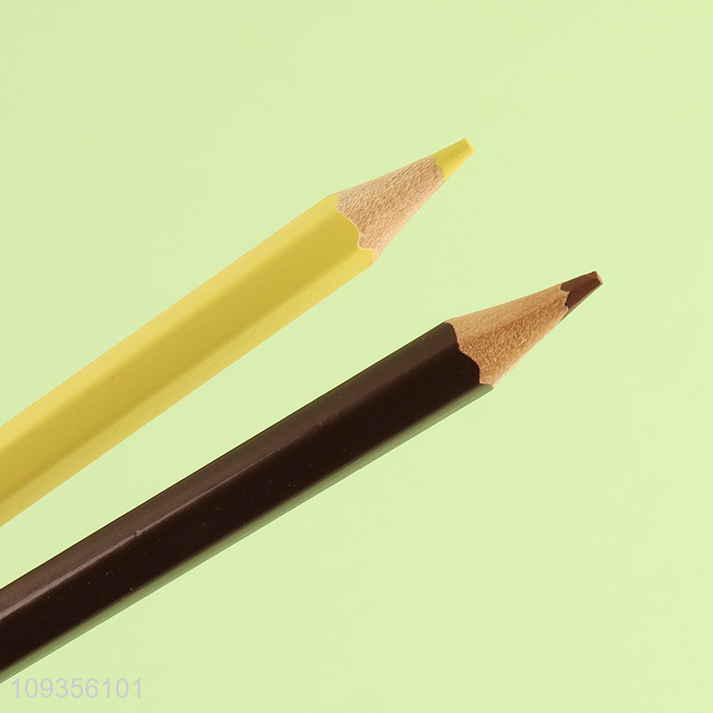 Best sale 24pcs painting colored pencils for stationery