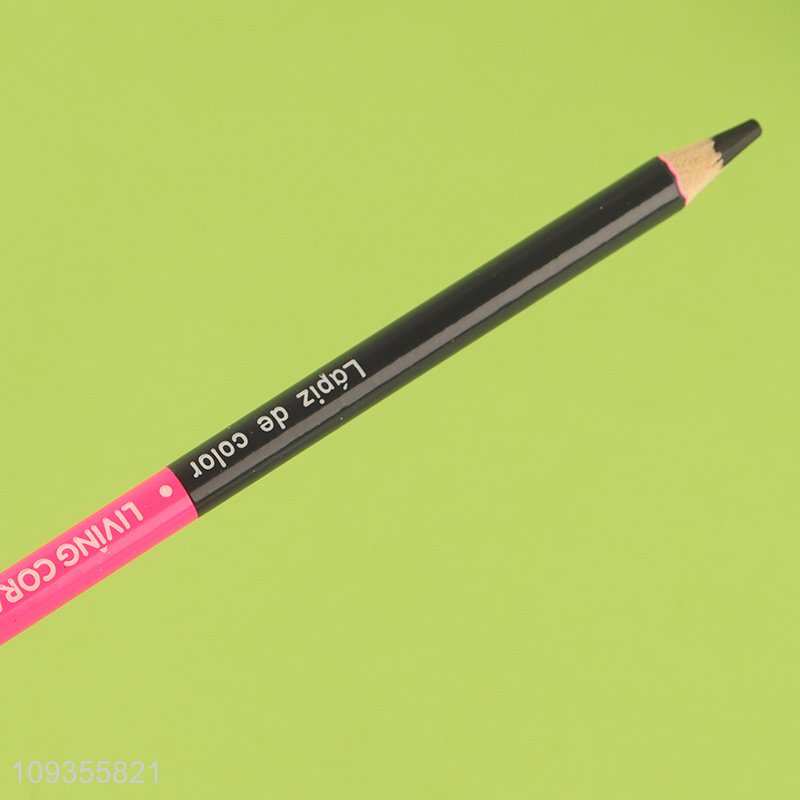Hot selling double-headed painting colored pencils