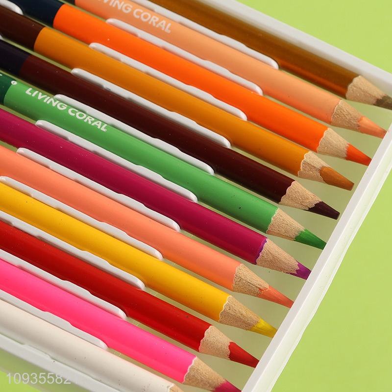 Hot selling double-headed painting colored pencils