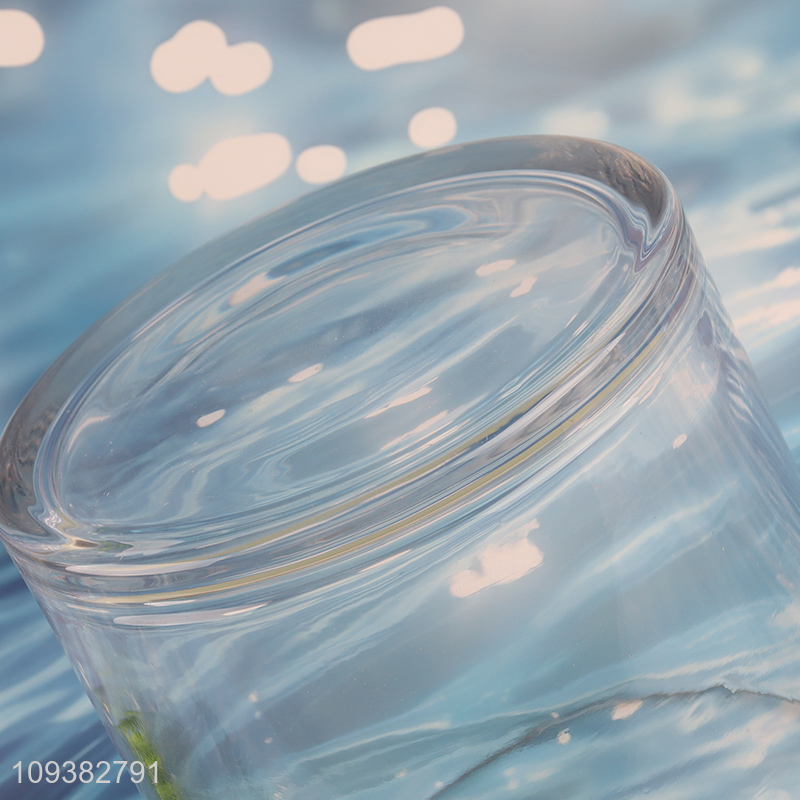 New arrival  clear glass flower vase hydroponic vase
