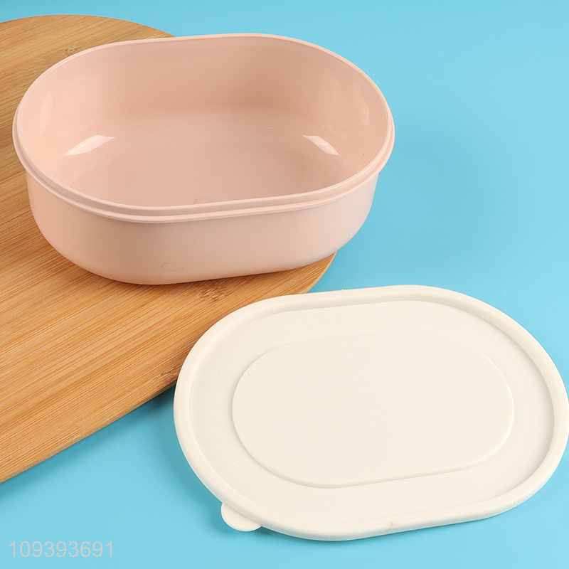 Good price double-layer lunch box for school and picnic
