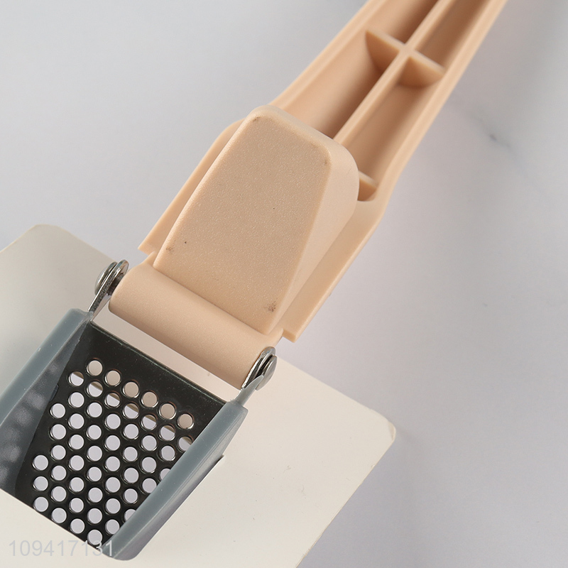 Popular products kitchen gadget garlic press for sale