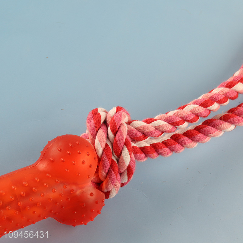 Popular products pet chew toys interactive toys