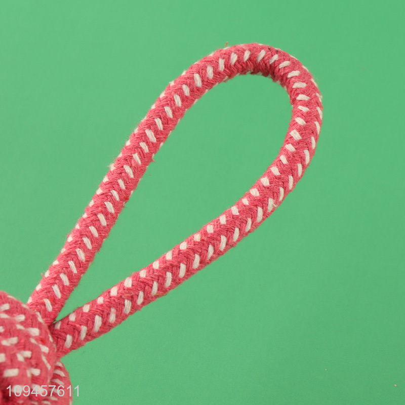China products bite-resistant pet chew toys interactive toys