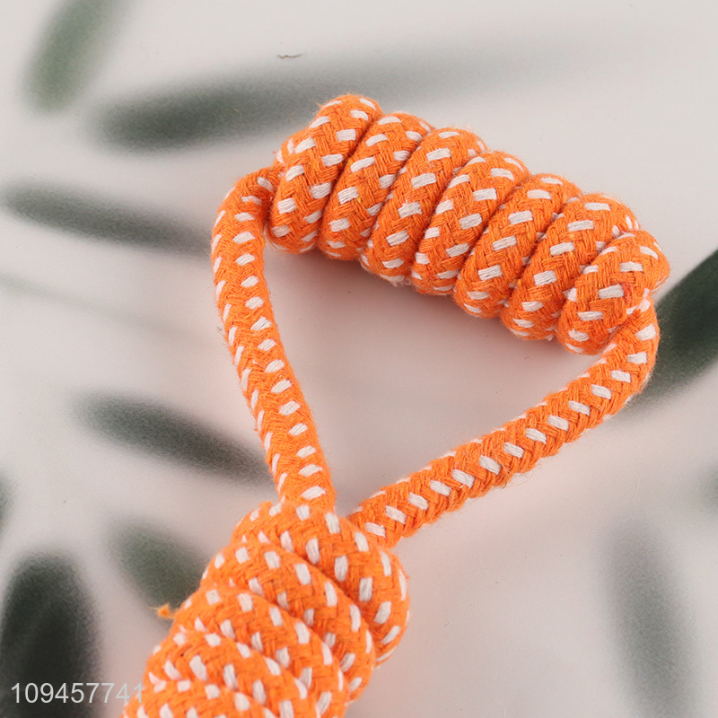 Wholesale pet chew toys interactive toys