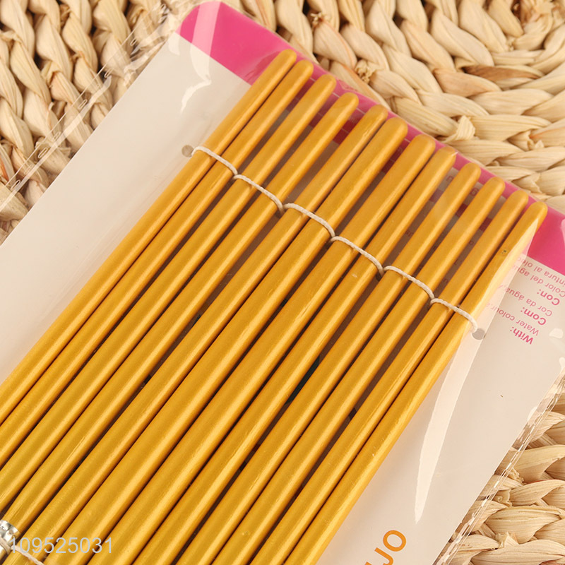 Wholesale 12pcs professional art paint brush set