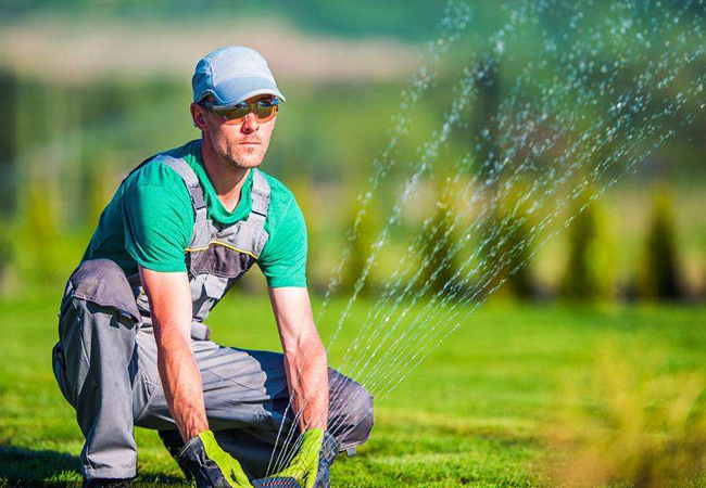 How to Choose Garden Gloves